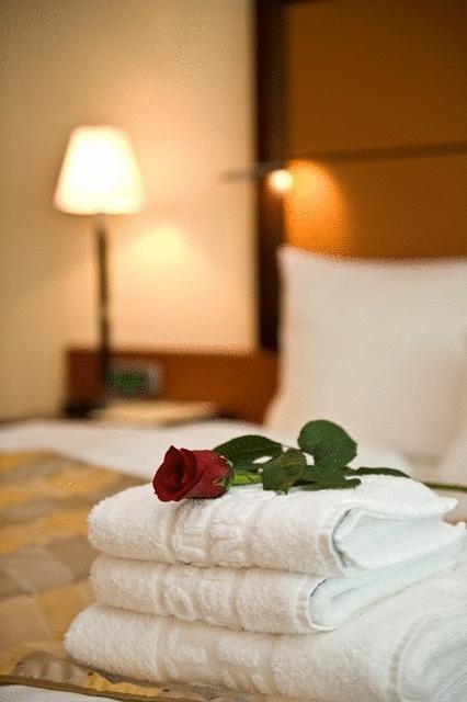 Aparthotel Premier Podgorica Szoba fotó
